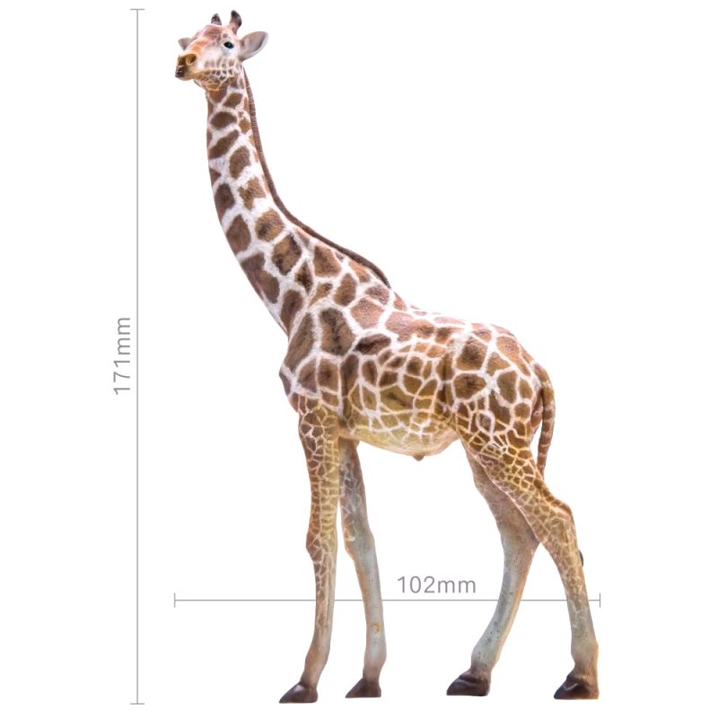 Dimensions de la figure élégante capturant la silhouette unique et la grâce verticale de la girafe.