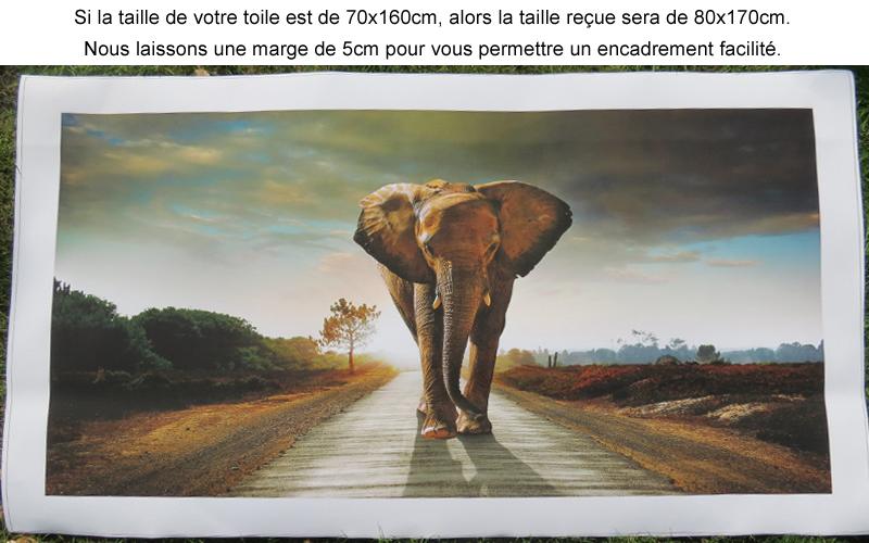 Nous rajoutons des marges blanches sur ce modele de toile