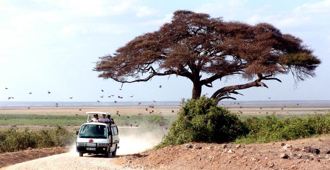 Un souvenir impérissable au cœur de l'Afrique sauvage