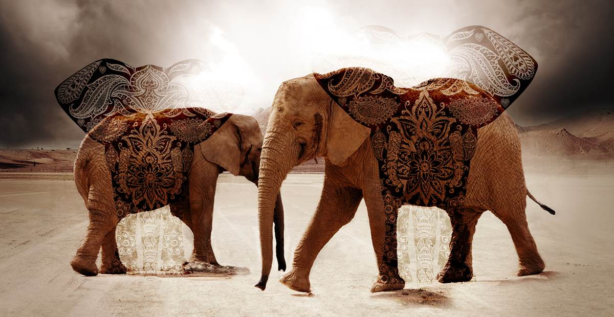 Les diverses significations et symboliques de l'éléphant
