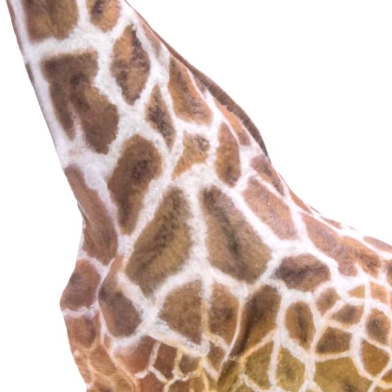 Modèle finement sculpté d'une girafe montrant le motif des taches et l'attitude pacifique.