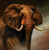 Peinture elephant agite oreilles