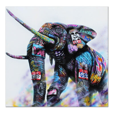 Peinture elephant graffiti nue