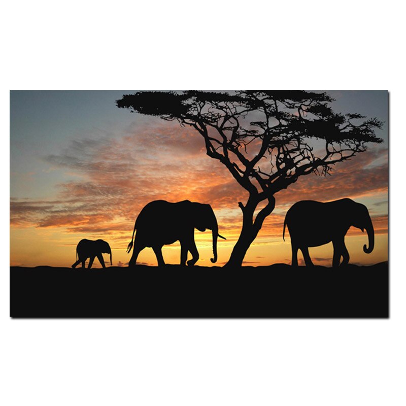 Toile elephant couleur et contre jour