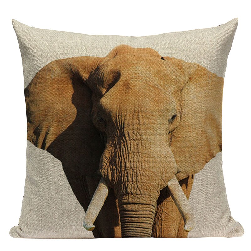 Housse de coussin elephant d'Afrique