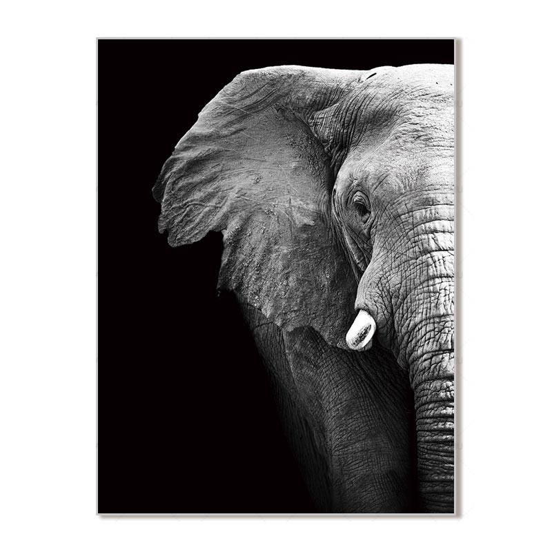 Image éléphant noir et blanc sur toile