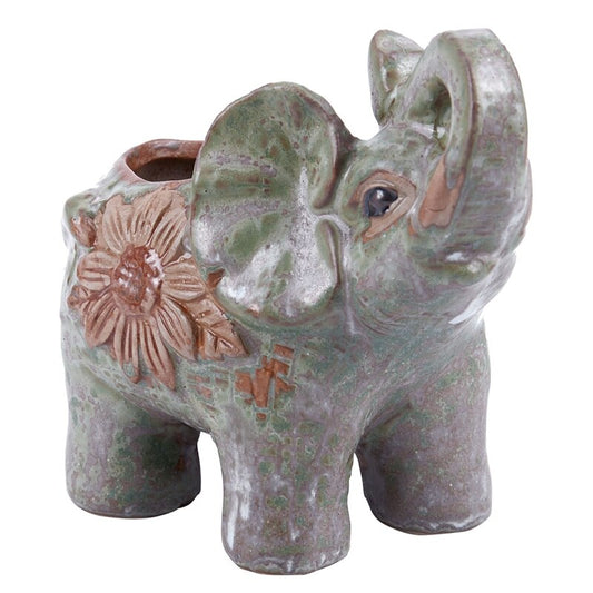 Pot a cactus elephant