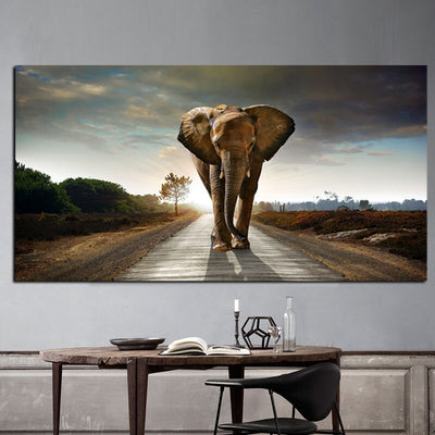 Elephant marchant sur une route goudronnée