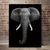 Tableau elephant noir & blanc, tete d'elephant