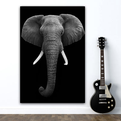 Tableau elephant noir & blanc, visage d'elephant vu de face