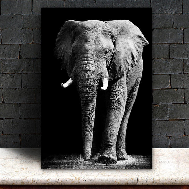 Tableau elephant noir & blanc, pachyderme qui marche dans l'herbe, la trompe pendante