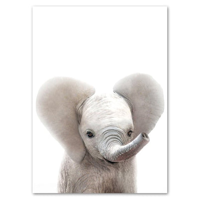 Affiche bebe elephant