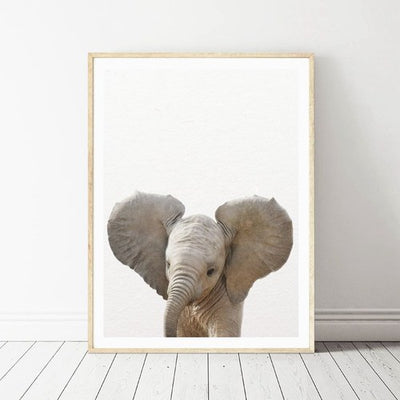 Affiche jeune elephant savane pose au sol