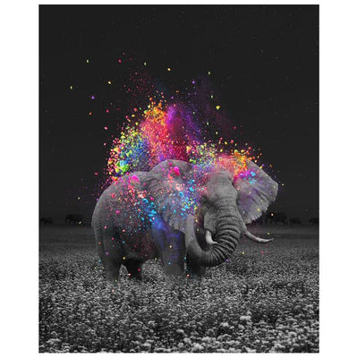 Gros plan sur la photographie elephant d'afrique expulsant des jets de couleurs