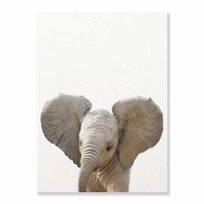 Affiche jeune elephanteau