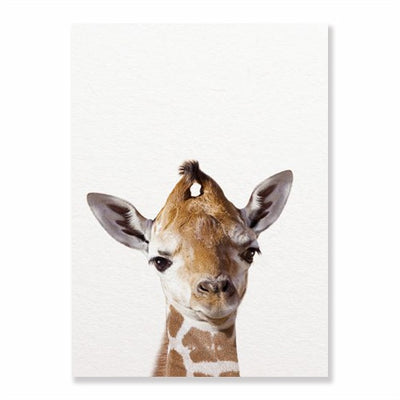 Affiche jeune girafe