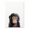 Affiche jeune chimpanze