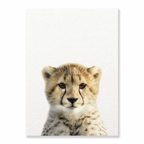 Affiche jeune guepard