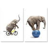 Pack special promo tableau elephant ballon et velo