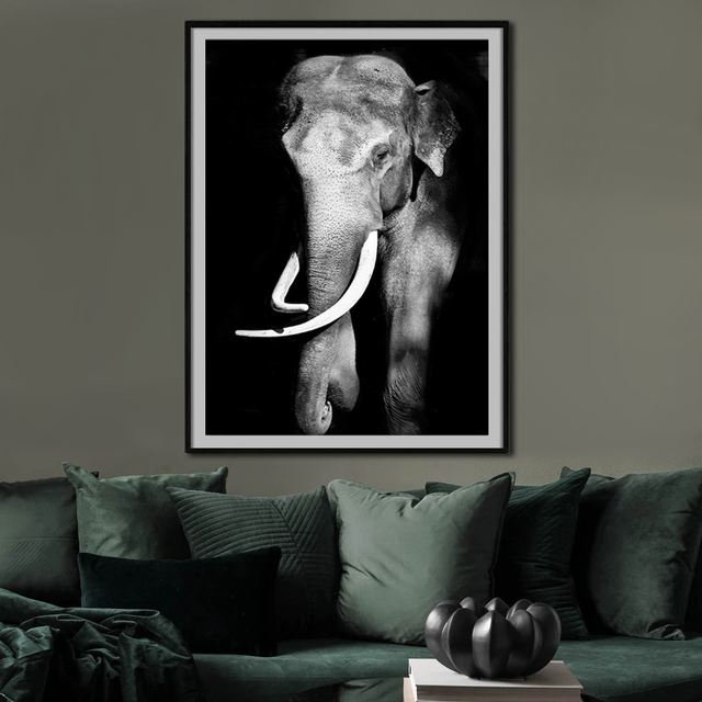 Photo elephant Inde