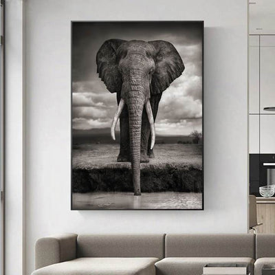Poster elephant noir et blanc