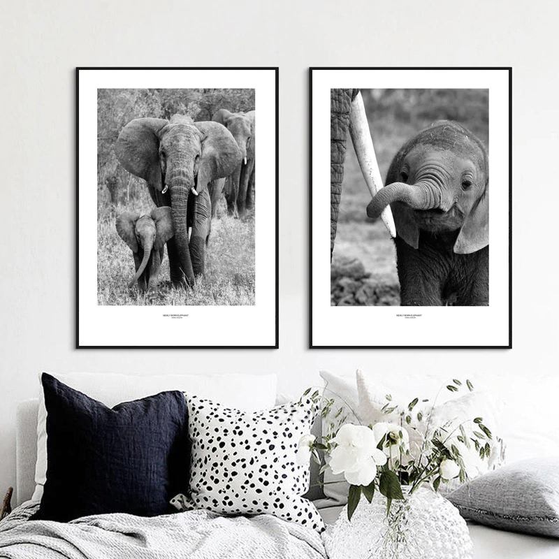 Photo elephant maman et son bebe, en noir & blanc