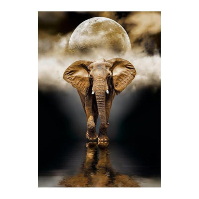Poster elephant dans l'eau, a encadrer comme tableau ou a poser