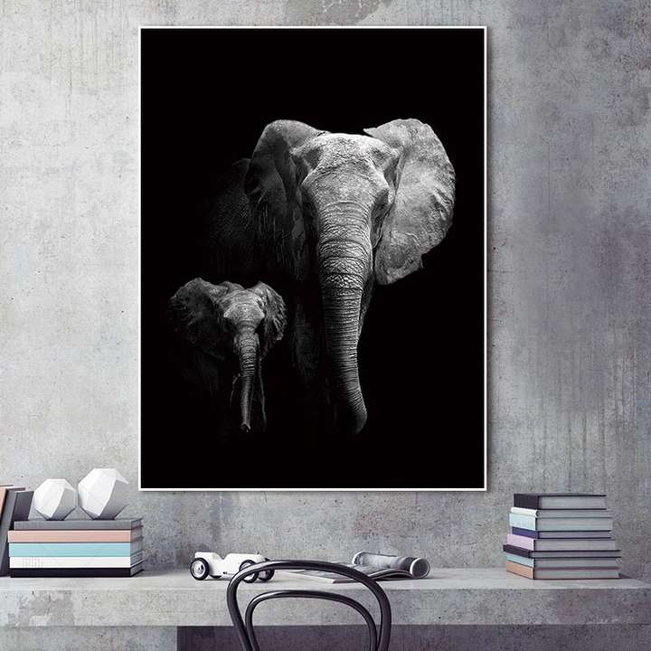 Photo tete elephant noir et blanc