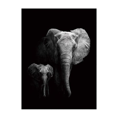 Photographie tete elephant noire et blanche