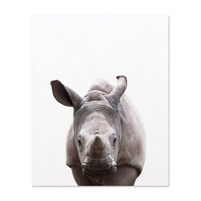 Affiche jeune rhinoceros