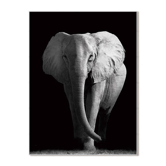 Tableau elephant noir et blanc sur toile