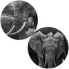 Detail du tableau elephant grand format