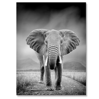 Tableau mural elephant