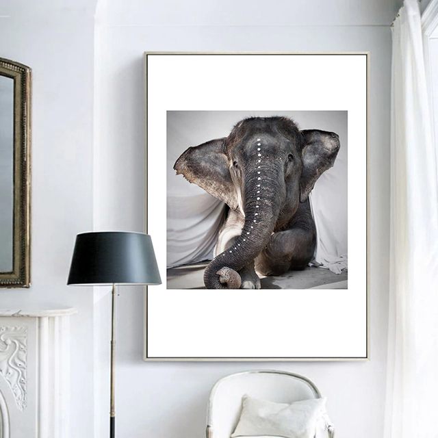 Toile photo elephant d asie