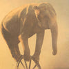 Affiche elephant retro kraft